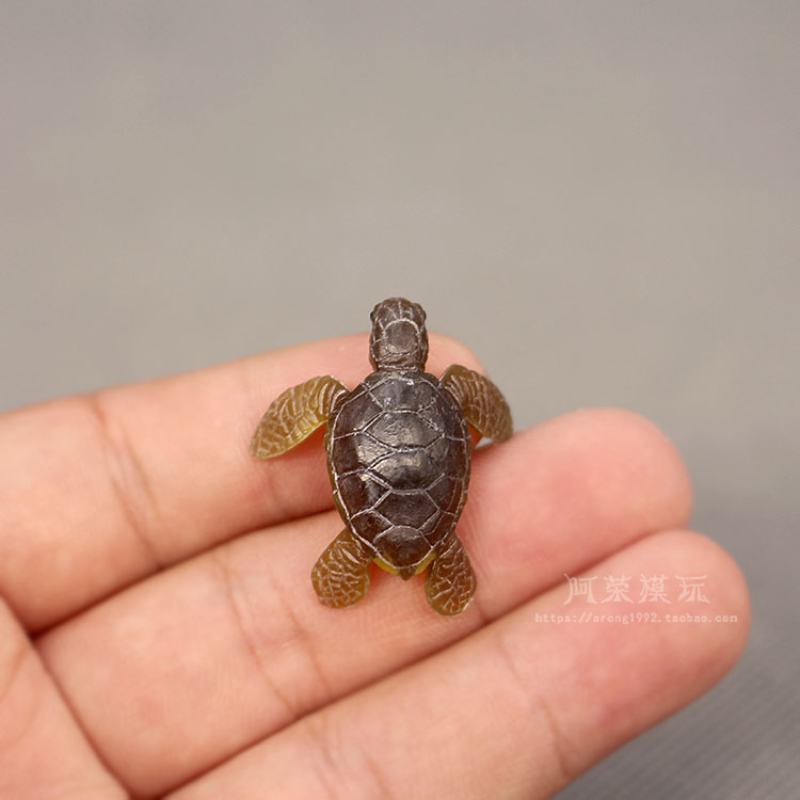 Marine Aquarium Japan - 해양 생물 바다 거북이 모델 장식품,