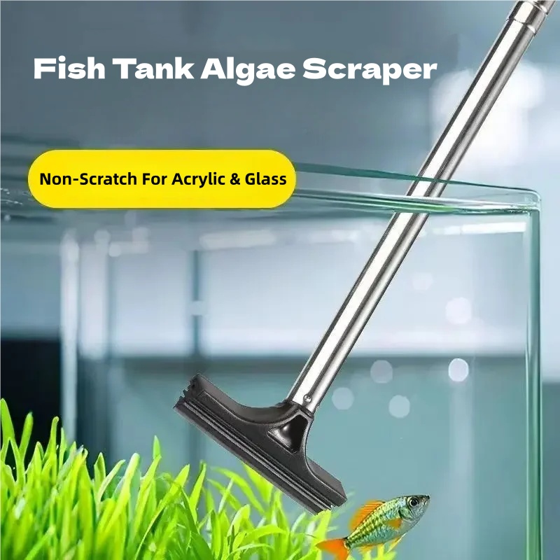 텔레스코픽 수족관 조류 스크레이퍼 스테인리스 스틸 실리 - Aquarium Marine Sand 리뷰 및 가격