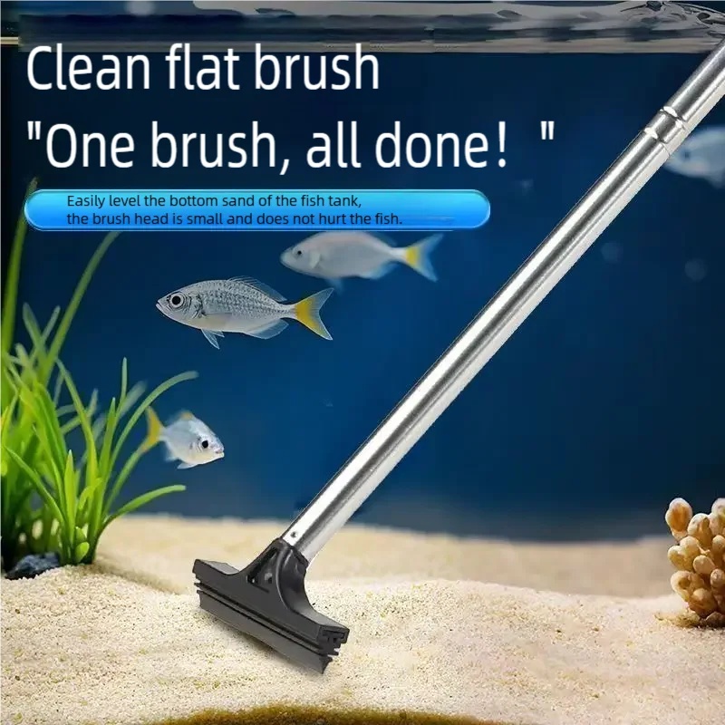 텔레스코픽 수족관 조류 스크레이퍼 스테인리스 스틸 실리 - Aquarium Marine Sand 리뷰 및 가격