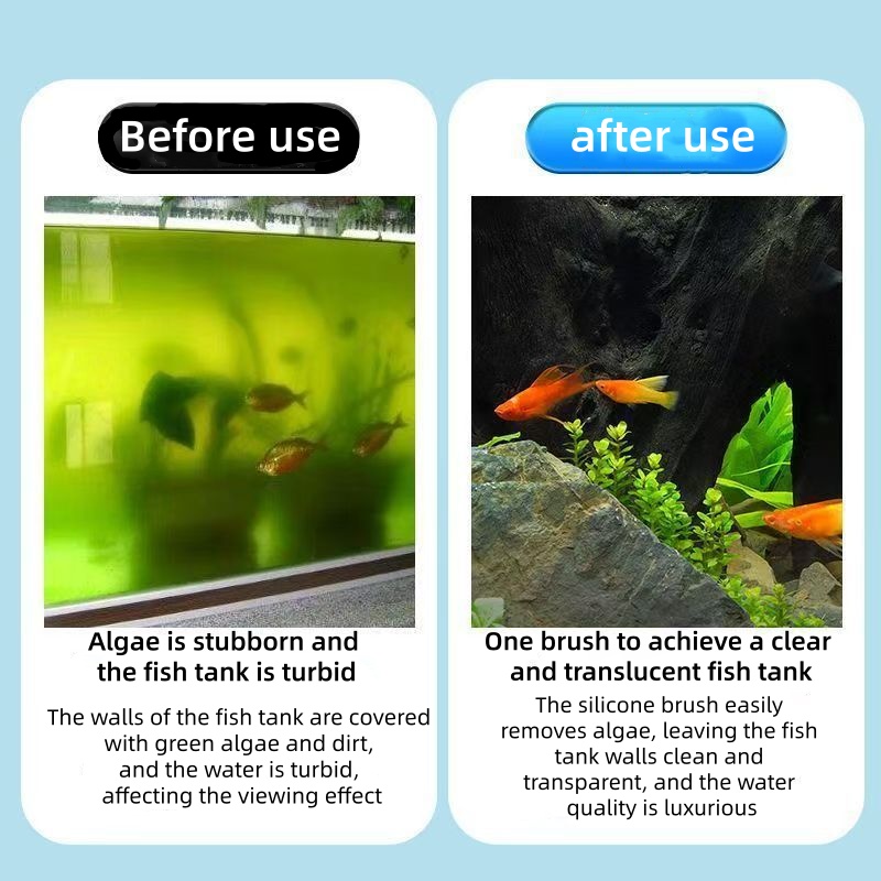 텔레스코픽 수족관 조류 스크레이퍼 스테인리스 스틸 실리 - Aquarium Marine Sand 리뷰 및 가격
