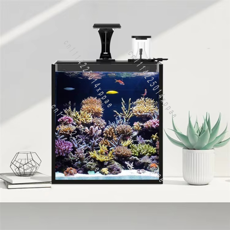 해양용 투명 유리 미니 해수어항 - Aquarium Marine Salt 리뷰 및 가격