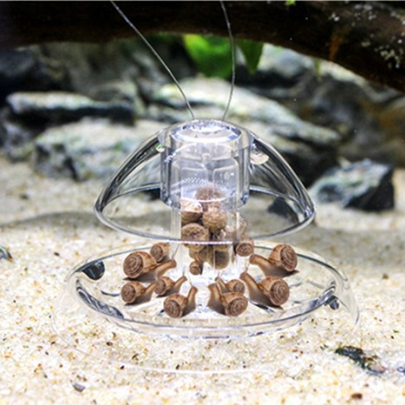 물고기 탱크 수족관 클리너, 달팽이 트랩 캐처, 식물  - Marine Aquarium Glass Cleaner 리뷰 및 가격