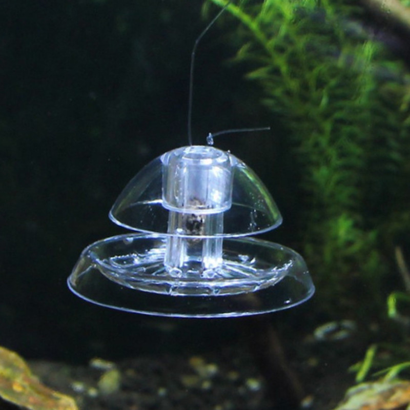 물고기 탱크 수족관 클리너, 달팽이 트랩 캐처, 식물  - Marine Aquarium Glass Cleaner 리뷰 및 가격
