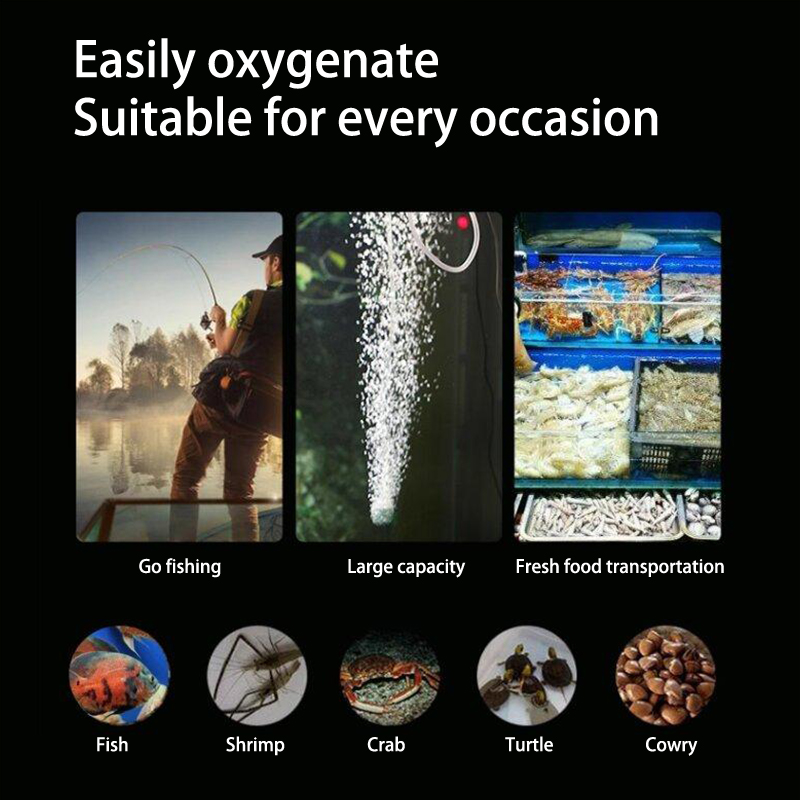 미니 수족관 에어 펌프 키트, 산소 펌프, USB 수족 - Aquarium Marine Stone 리뷰 및 가격