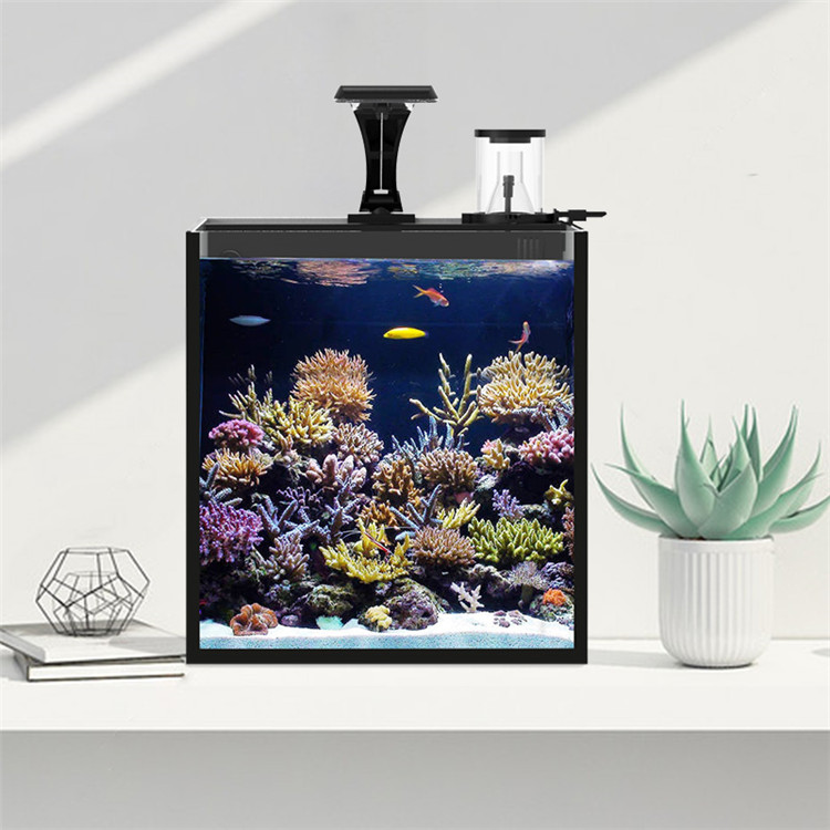스카이누오 울트라 클리어 글래스 미니 해수어항 미디어  - Aquarium Marine Clearwater 리뷰 및 가격