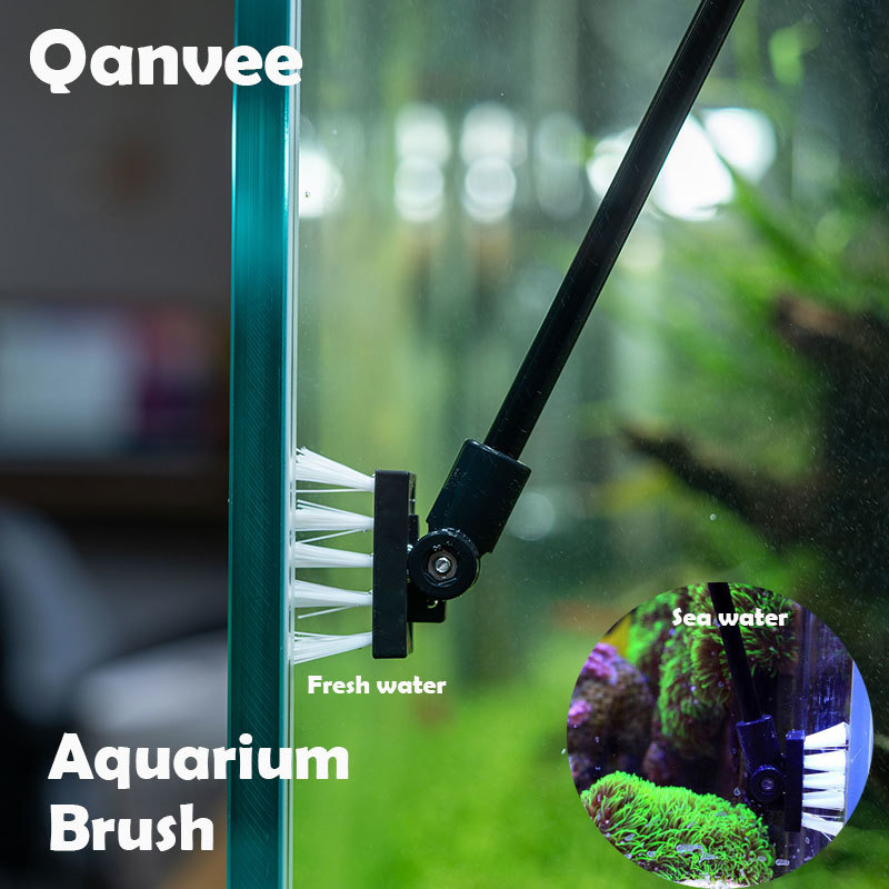 낚시 청소 브러시 ​​식물 탱크 신선한 바다 물 청소  - Marine Aquarium Glass Cleaner 리뷰 및 가격