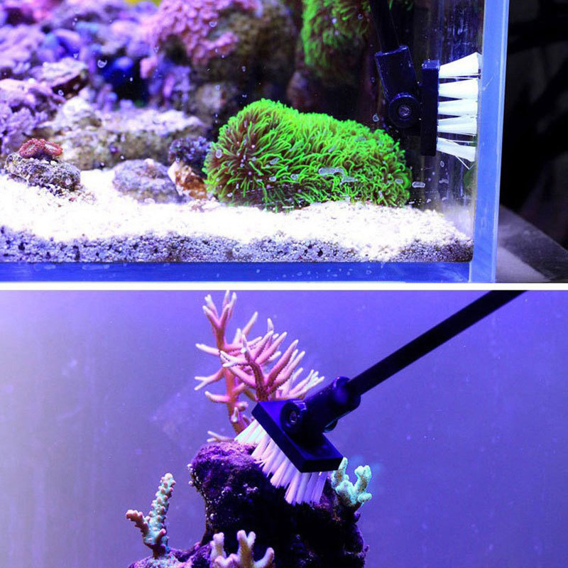 낚시 청소 브러시 ​​식물 탱크 신선한 바다 물 청소  - Marine Aquarium Glass Cleaner 리뷰 및 가격