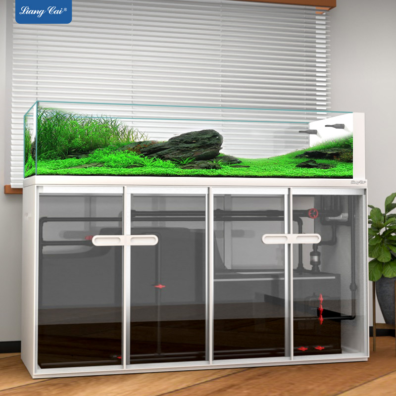 대형 모던 스타일 유리 어항 스톡 탱크 해양 어항 용품 - Aquarium Marine Fish For Sale 리뷰 및 가격