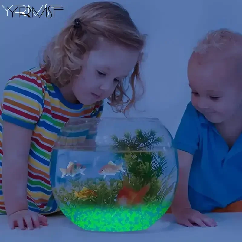 2000개 3-5mm 야광 모래, 어두운 돌, 돌, 집 - Aquarium Marine Sand 리뷰 및 가격