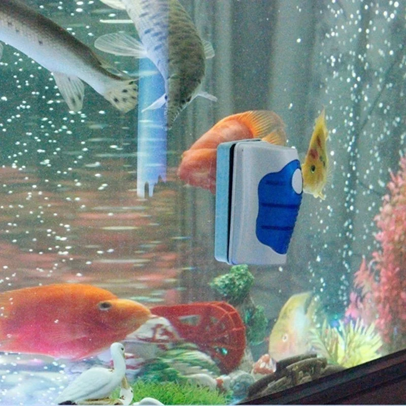 물고기 탱크 유리 스크레이퍼 클리너 플로팅 수족관 클리 - Marine Aquarium Glass Cleaner 리뷰 및 가격