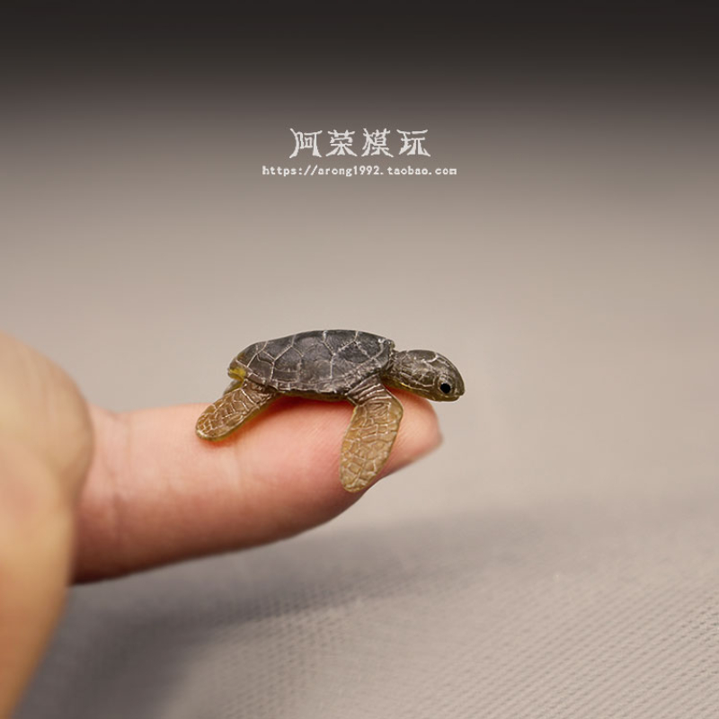 해양 생물 바다 거북이 모델 장식품, 해양 동물, 귀여 - Marine Aquarium Japan 리뷰 및 가격
