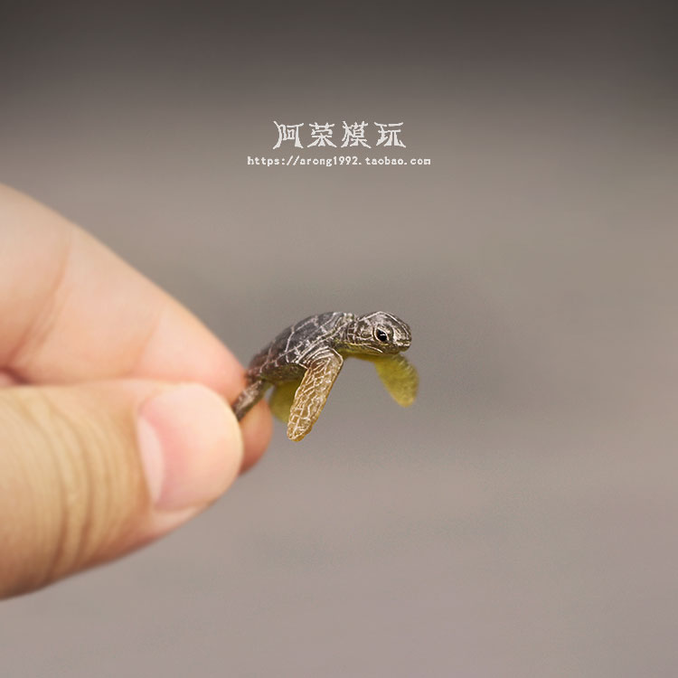 해양 생물 바다 거북이 모델 장식품, 해양 동물, 귀여 - Marine Aquarium Japan 리뷰 및 가격