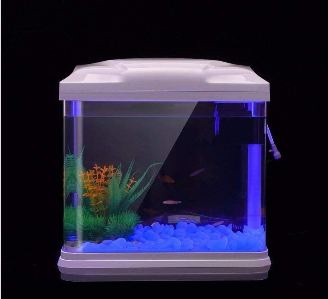 물고기 탱크 바위 정원 물고기 탱크 수족관 식물 냄비  - Aquarium Marine Stone 리뷰 및 가격