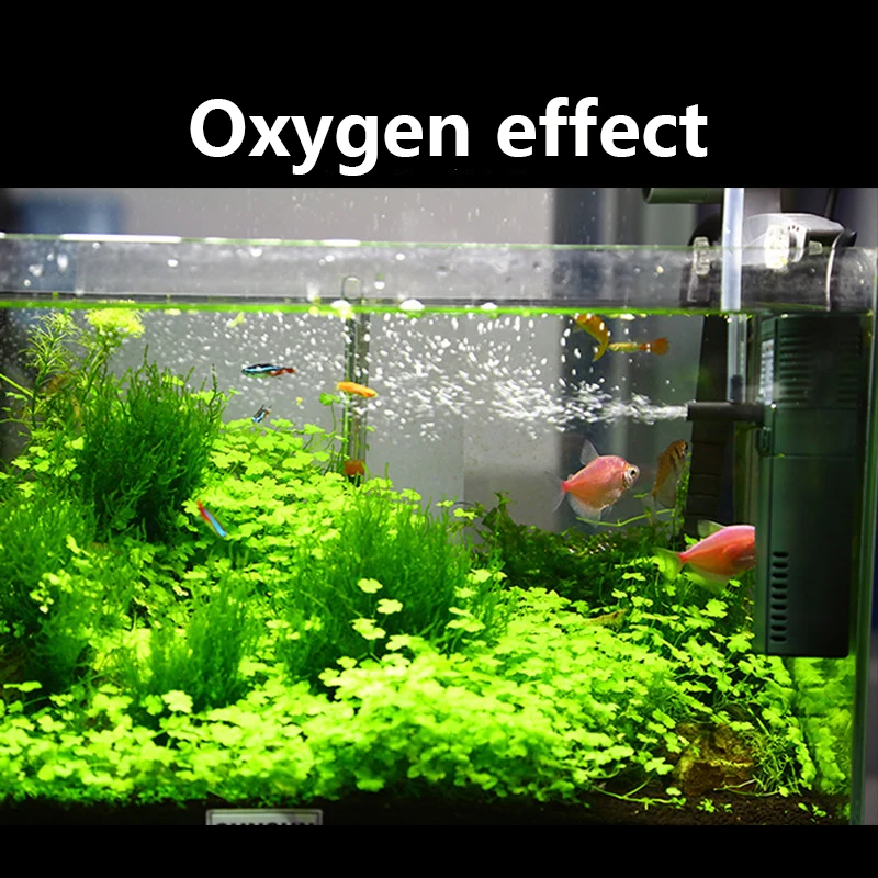 SUNSUN 미니 나노 수중 산소 펌프, 물고기 거북이 - Marine Aquarium Chiller 리뷰 및 가격